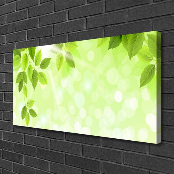 Stampa quadro su tela Foglie di piante naturali 100x50 cm