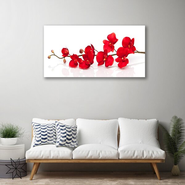 Quadro su tela Fiori, piante, natura 100x50 cm