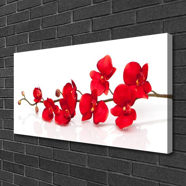 Quadro su tela Fiori, piante, natura 100x50 cm