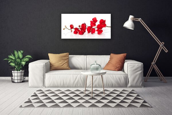 Quadro su tela Fiori, piante, natura 100x50 cm