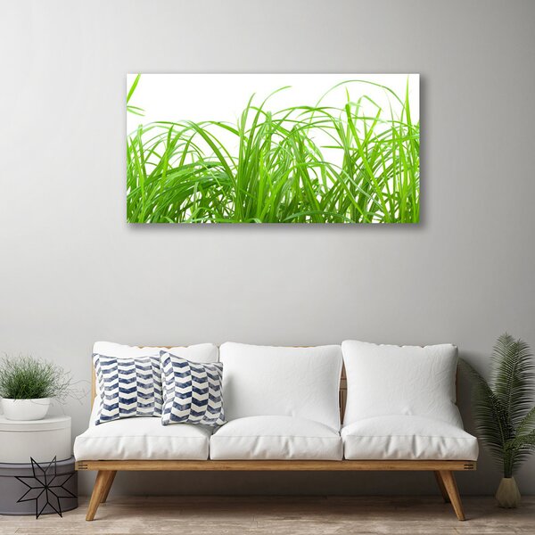 Stampa quadro su tela Erba, piante, natura 100x50 cm