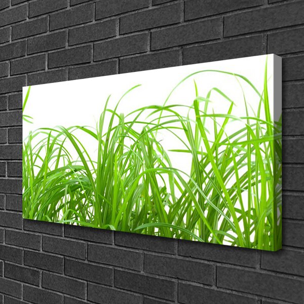 Stampa quadro su tela Erba, piante, natura 100x50 cm