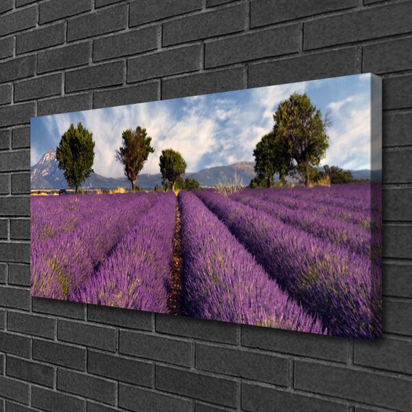Quadro su tela Prato degli alberi della natura 100x50 cm