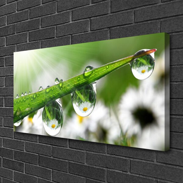Quadro su tela Erba, Rosa, Gocce, Natura 100x50 cm