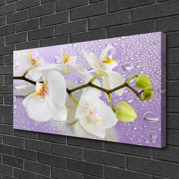 Quadro su tela Fiori, piante, natura 100x50 cm