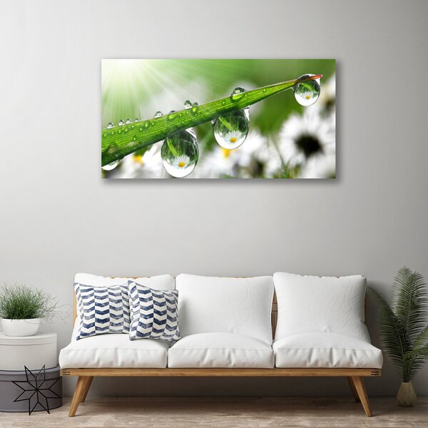 Quadro su tela Erba, Rosa, Gocce, Natura 100x50 cm