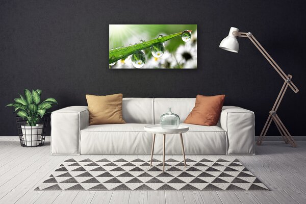 Quadro su tela Erba, Rosa, Gocce, Natura 100x50 cm