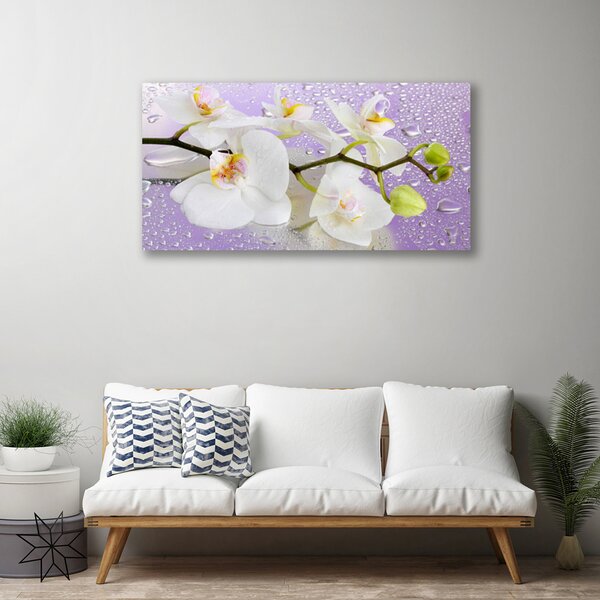 Quadro su tela Fiori, piante, natura 100x50 cm