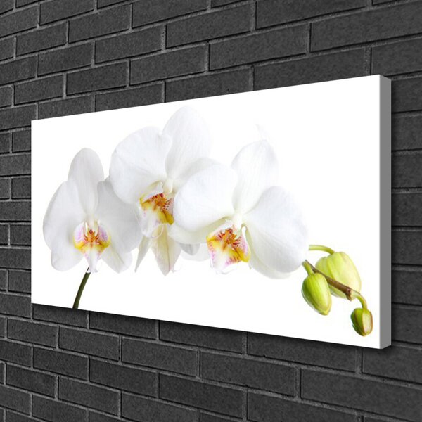 Quadro su tela Fiori, piante, natura 100x50 cm