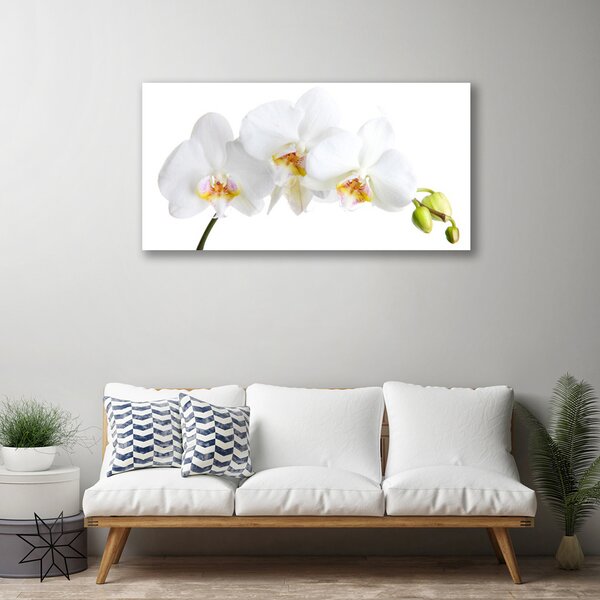 Quadro su tela Fiori, piante, natura 100x50 cm