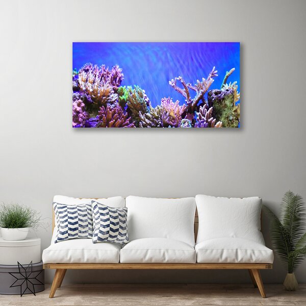 Quadro stampa su tela Natura della barriera corallina 100x50 cm