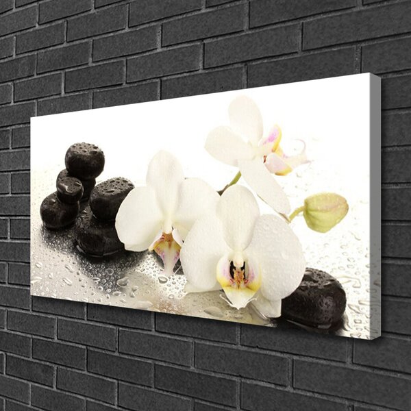 Quadro su tela Pianta di pietre di fiori 100x50 cm