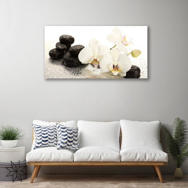 Quadro su tela Pianta di pietre di fiori 100x50 cm
