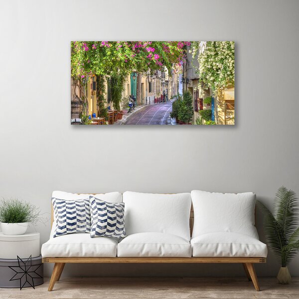 Quadro su tela Vicolo. Fiori. Case 100x50 cm