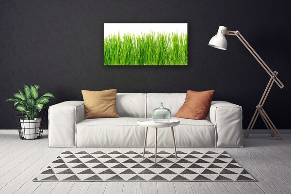 Quadro su tela Erba, piante, natura 100x50 cm