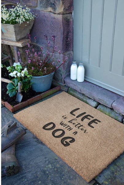 Zerbino in fibre di cocco 40x60 cm Life Is Better With a Dog – Artsy Doormats