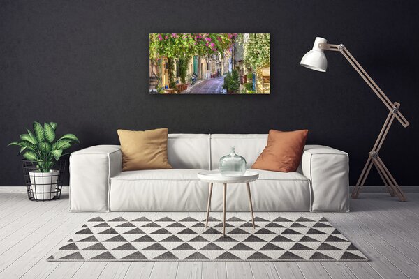 Quadro su tela Vicolo. Fiori. Case 100x50 cm