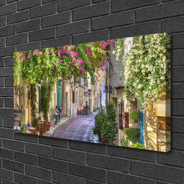Quadro su tela Vicolo. Fiori. Case 100x50 cm