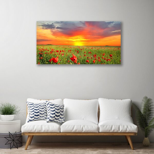 Quadro su tela Papaveri. Sole. Pianta. Natura 100x50 cm