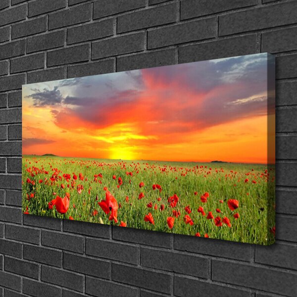 Quadro su tela Papaveri. Sole. Pianta. Natura 100x50 cm