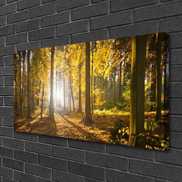 Stampa quadro su tela Foresta, piante, natura 100x50 cm