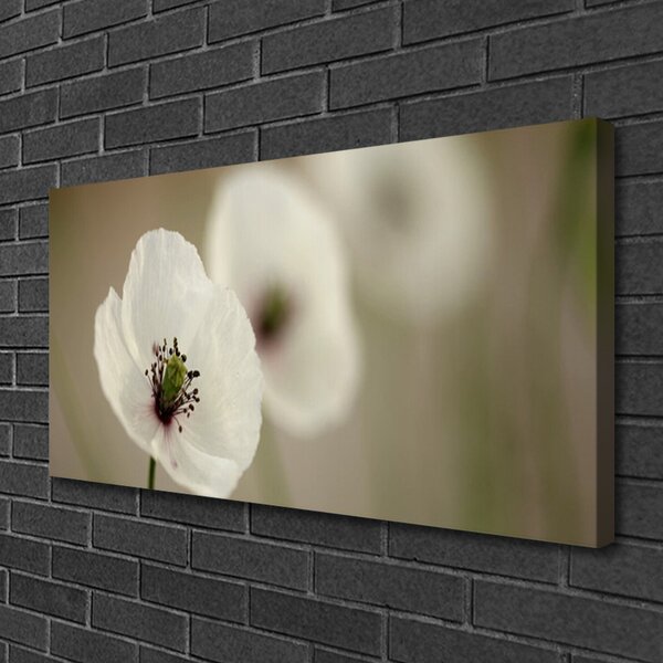 Quadro su tela Fiore, pianta, natura 100x50 cm