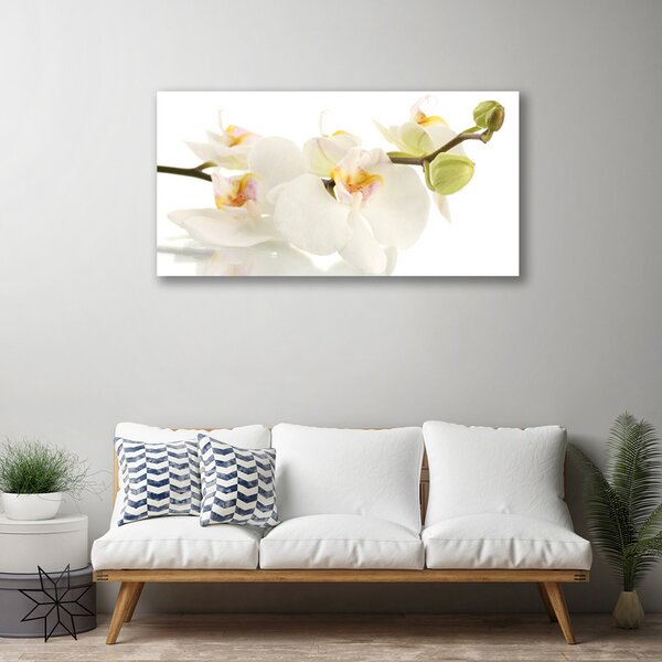Quadro su tela Fiori, piante, natura 100x50 cm