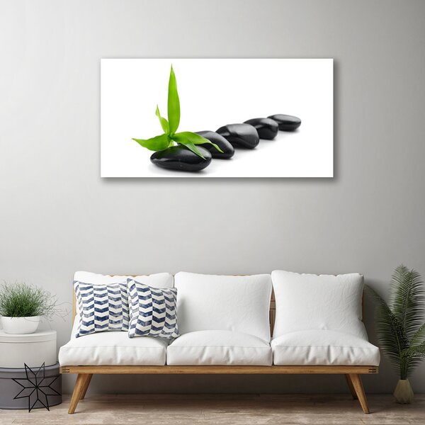 Quadro stampa su tela Pietre, foglie, arte 100x50 cm