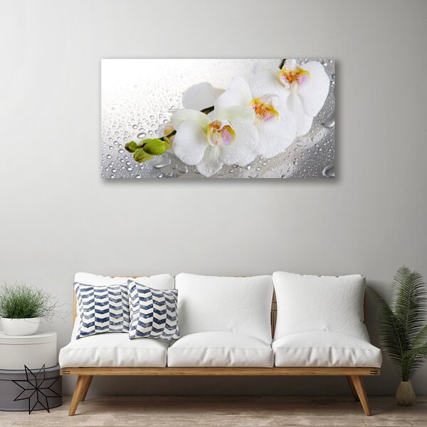 Quadro su tela Fiori, piante, natura 100x50 cm