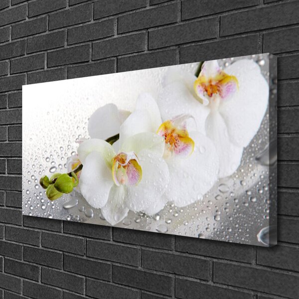Quadro su tela Fiori, piante, natura 100x50 cm