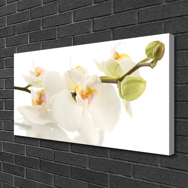 Quadro su tela Fiori, piante, natura 100x50 cm