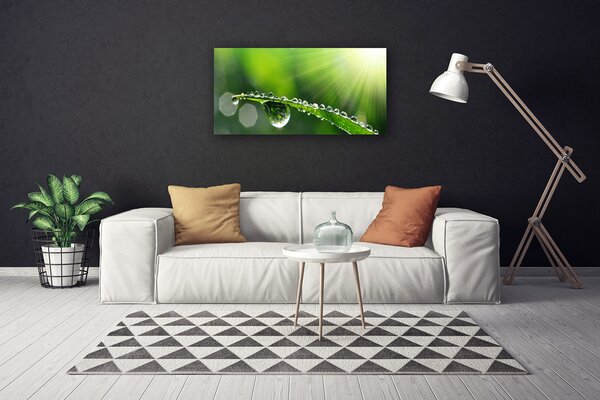 Quadro su tela Erba, Rosa, Gocce, Natura 100x50 cm