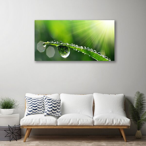 Quadro su tela Erba, Rosa, Gocce, Natura 100x50 cm