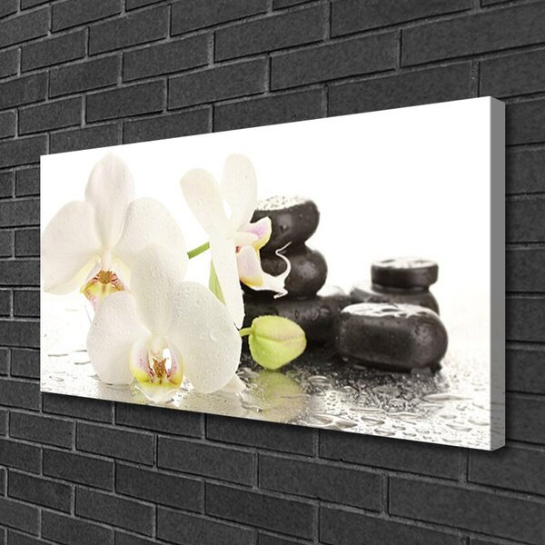 Quadro su tela Pianta di pietre di fiori 100x50 cm