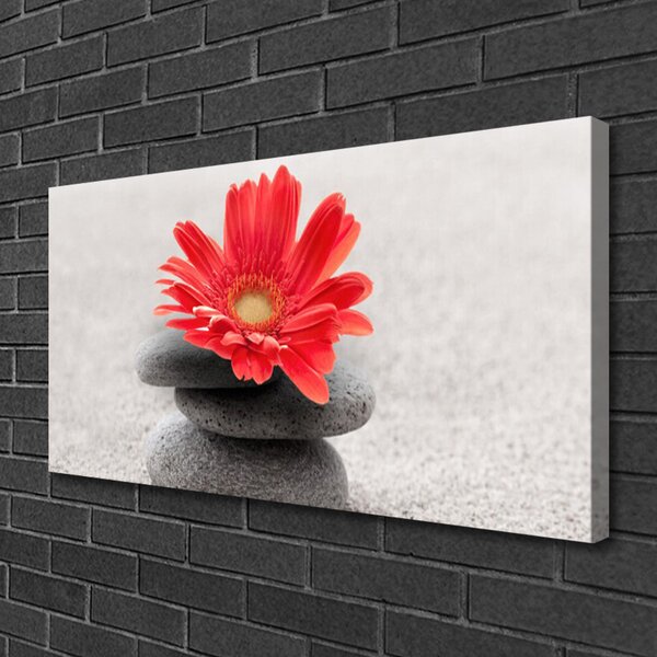 Quadro su tela Fiore di gerbera 100x50 cm