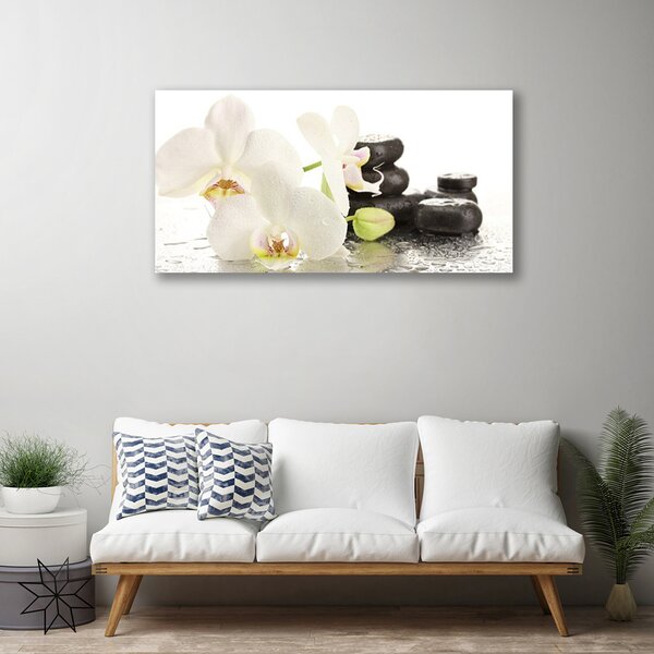 Quadro su tela Pianta di pietre di fiori 100x50 cm