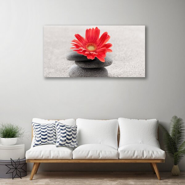 Quadro su tela Fiore di gerbera 100x50 cm