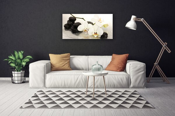 Quadro su tela Bellissimo fiore di orchidea 100x50 cm