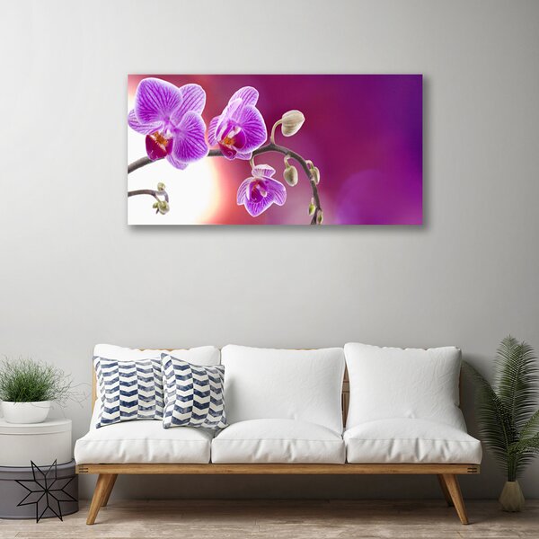 Quadro su tela Fiori, piante, natura 100x50 cm