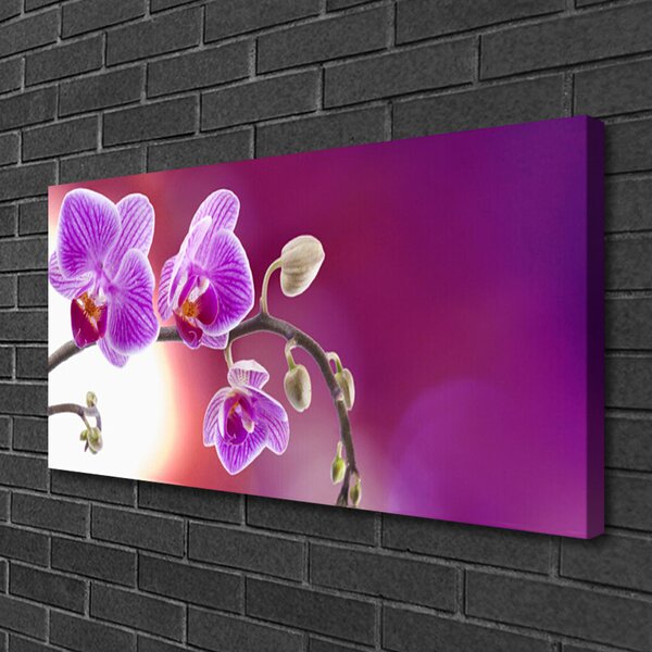Quadro su tela Fiori, piante, natura 100x50 cm