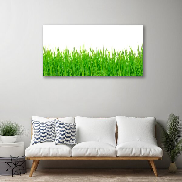 Quadro su tela Erba, piante, natura 100x50 cm