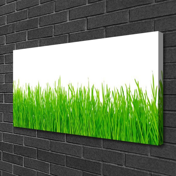 Quadro su tela Erba, piante, natura 100x50 cm