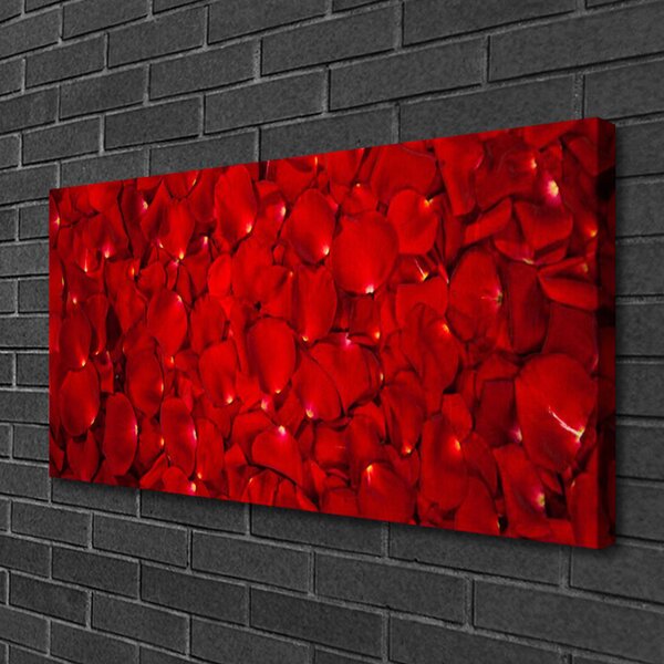 Foto quadro su tela I petali della pianta La natura 100x50 cm