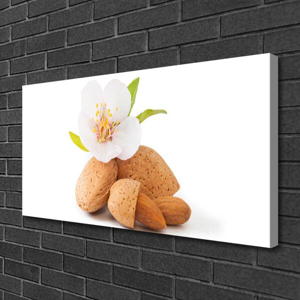 Quadro su tela Fiore di Pistacchio Natura 100x50 cm