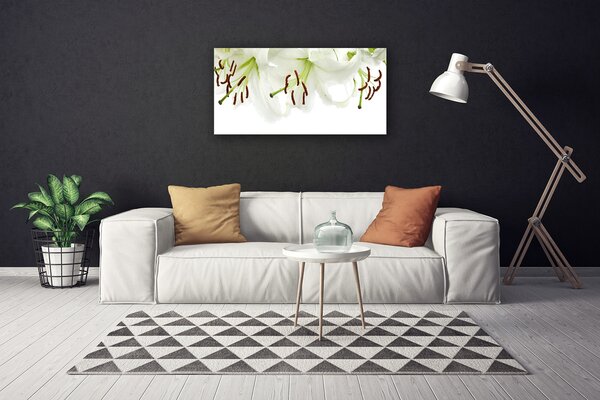 Stampa quadro su tela Fiori, piante, natura 100x50 cm