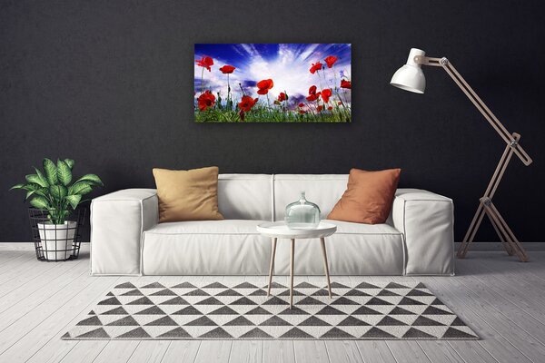 Quadro su tela Natura, papaveri, piante 100x50 cm
