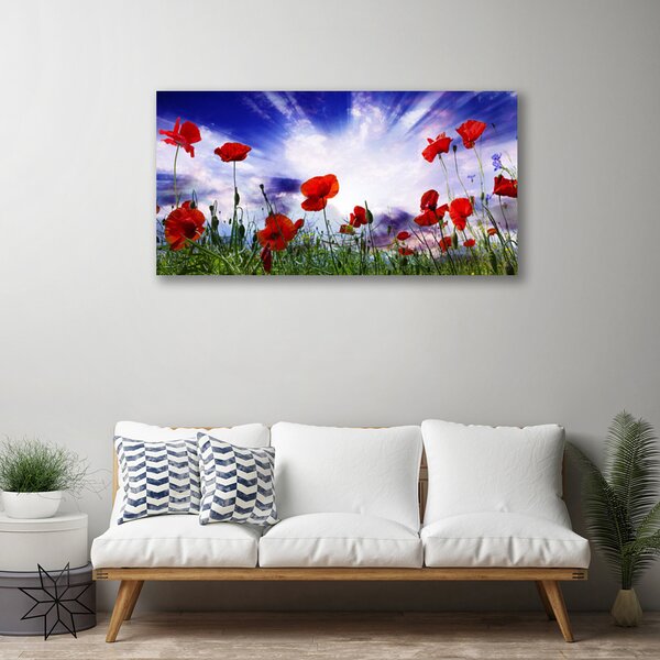 Quadro su tela Natura, papaveri, piante 100x50 cm