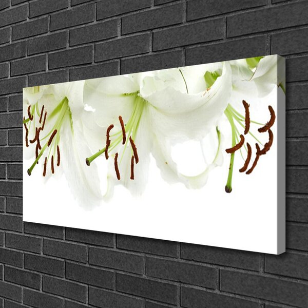 Stampa quadro su tela Fiori, piante, natura 100x50 cm
