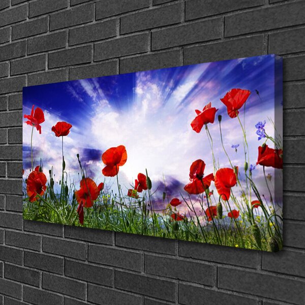 Quadro su tela Natura, papaveri, piante 100x50 cm
