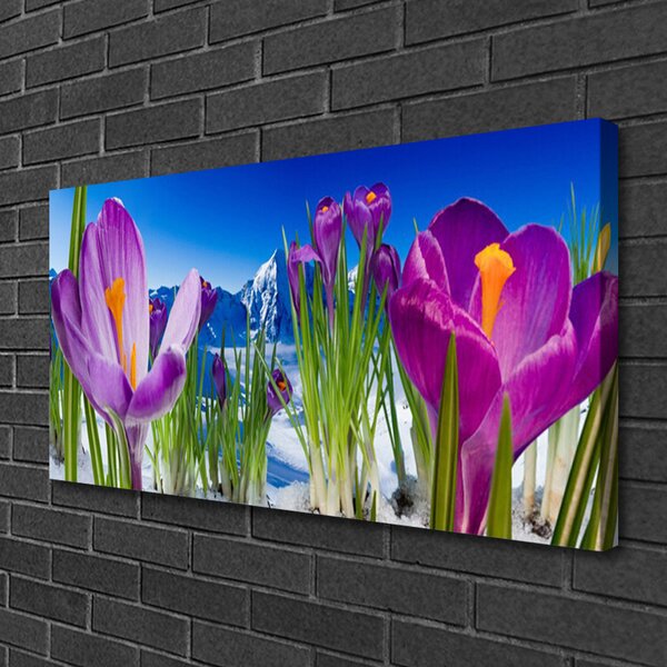 Quadro su tela Fiori, piante, natura 100x50 cm